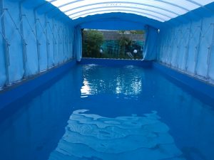 فروش مواد صنعتی کلر 