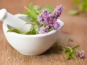 مواد شیمیایی مرک در گیاه شناسی 1 مواد شیمیایی مرک در گیاه شناسی