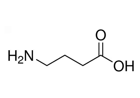 Y-آمینوبوتیریک اسید کد A5835