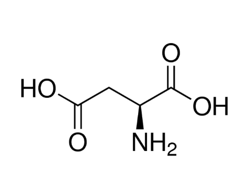 ال-اسپارتیک اسید