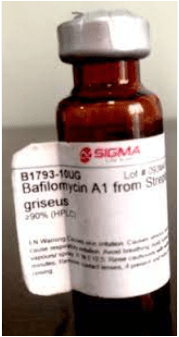بافیلومایسین A1