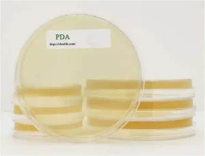 محیط کشت Potato Dextrose Agar