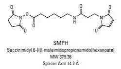 خرید SMPH سوکسینیمیدیل-۶ 3 خرید SMPH سوکسینیمیدیل-۶