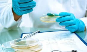 تست اکسیداز (Oxidase test) کد 113300
