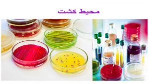 what is microbial culture media 1 4